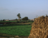m01-egypt-cairo-68-060