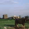 m01-egypt-cairo-68-061