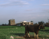m01-egypt-cairo-68-061