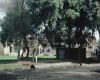 m01-egypt-cairo-69-007