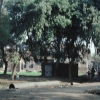m01-egypt-cairo-69-015