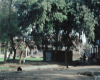 m01-egypt-cairo-69-015