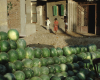 m01-egypt-cairo-71-042