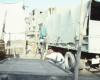 m01-egypt-cairo-71-080