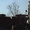 m01-egypt-cairo-71-082