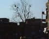 m01-egypt-cairo-71-082