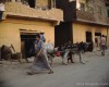 m02-egypt-cairo-28-004