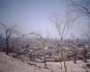 m02-egypt-cairo-45-009