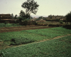 m01-egypt-cairo-23-002