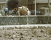 m01-egypt-cairo-27-003