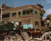 m01-egypt-cairo-28-014