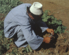 m01-egypt-cairo-32-003