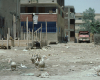 m01-egypt-cairo-42-002