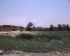 m01-egypt-cairo-51-006