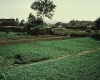 m01-egypt-cairo-55-002