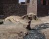 m01-egypt-cairo-57-021