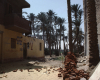 m01-egypt-cairo-59-029