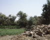 m01-egypt-cairo-59-031