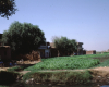 m01-egypt-cairo-64-002