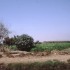 m01-egypt-cairo-64-032