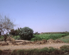 m01-egypt-cairo-64-032