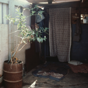 m07-informal-housing-16-005