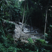m07-jamaica-03-007