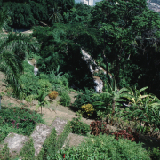 m07-jamaica-03-011