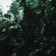 m07-jamaica-03-014