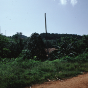 m07-jamaica-03-015