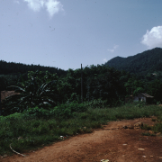 m07-jamaica-03-016
