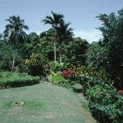 m07-jamaica-03-018