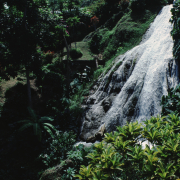 m07-jamaica-03-019