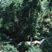 m07-jamaica-03-020