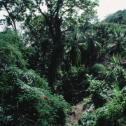 m07-jamaica-03-023
