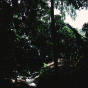 m07-jamaica-03-026