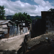 m07-jamaica-05-003
