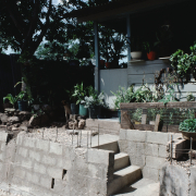 m07-jamaica-05-014