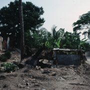 m07-jamaica-06-004