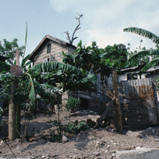 m07-jamaica-06-016