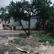 m07-jamaica-07-010