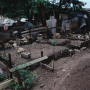 m07-jamaica-08-005