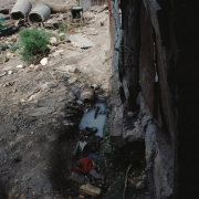 m07-jamaica-09-001