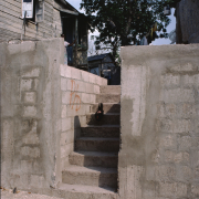m07-jamaica-09-004