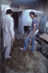 karachi-pak-k-03-034