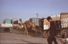 karachi-pak-k-05-010