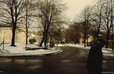 poland-gdansk-07-019