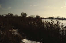poland-gdansk-07-020