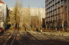 poland-gdansk-08-021