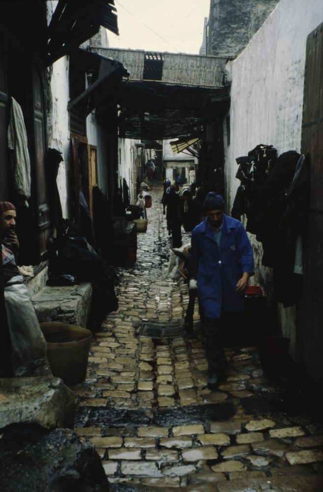 Cover photo for MSDA gallery M06-1